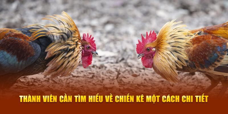 Thành viên cần tìm hiểu về chiến kê một cách chi tiết Thành viên cần tìm hiểu về chiến kê một cách chi tiết